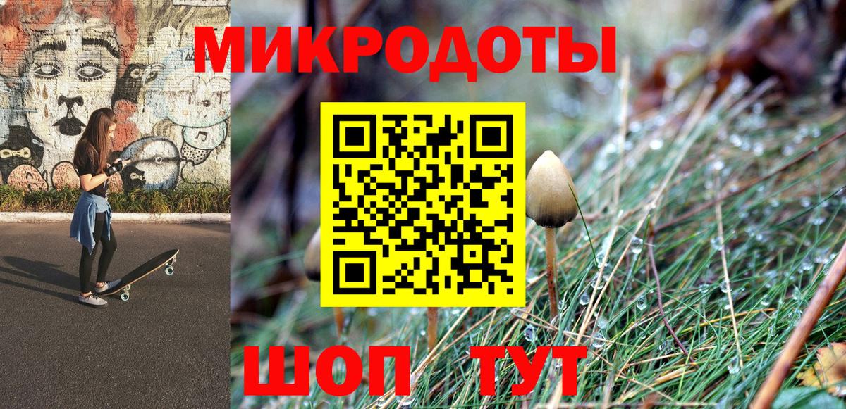 Галлюциногенные грибы прущие грибы Белгород