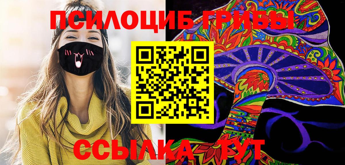 Псилоцибиновые грибы Cubensis  Вход с VPN  Белгород 