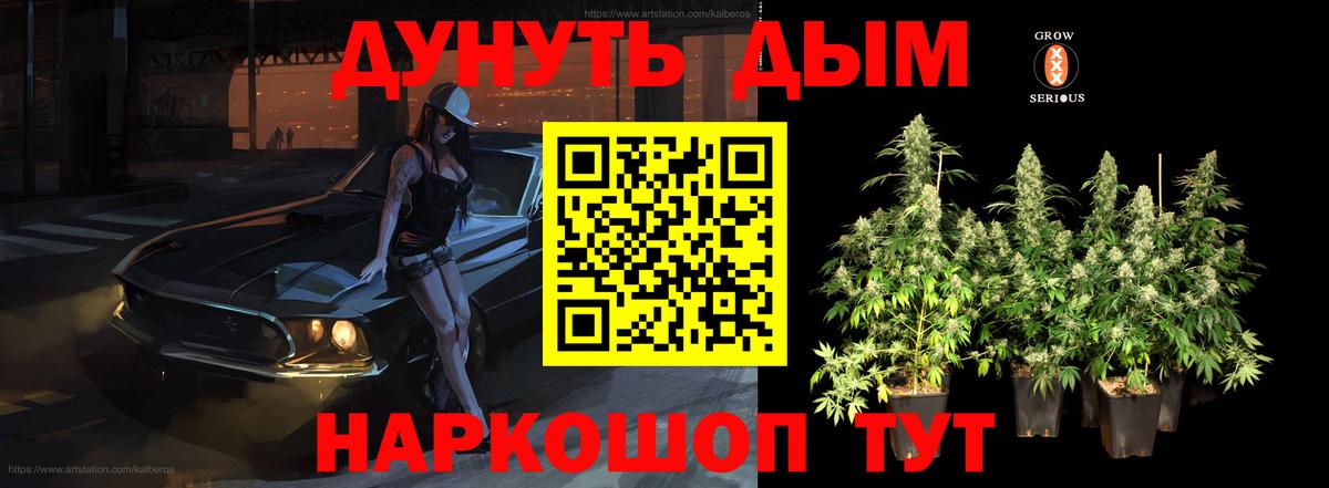 Конопля марихуана  Шишки марихуана план  Вход с VPN  Белгород  Шишки марихуана OG Kush  Бошки Шишки Bruce Banner 